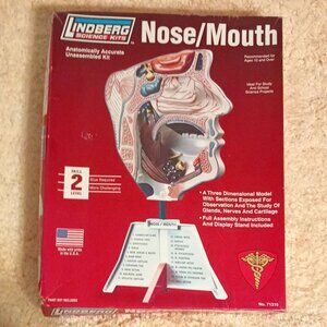 NIB ~ Lindberg Science Kits' Human Nose and Mouth Anatomy 3-D Plastic Model Kit
